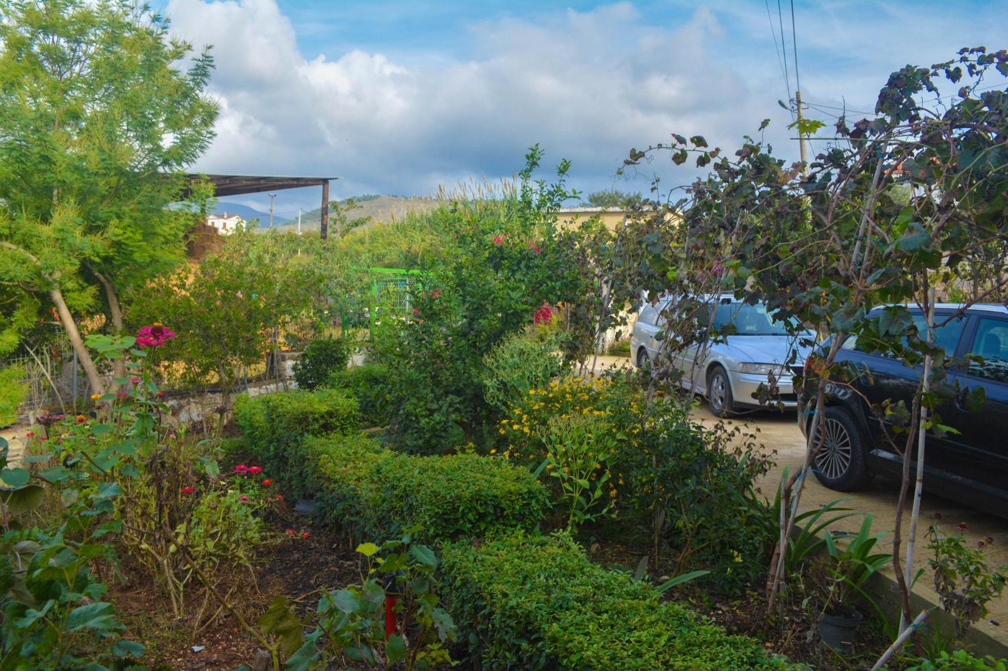 Apartments Villa Luti Stjar Exteriér fotografie